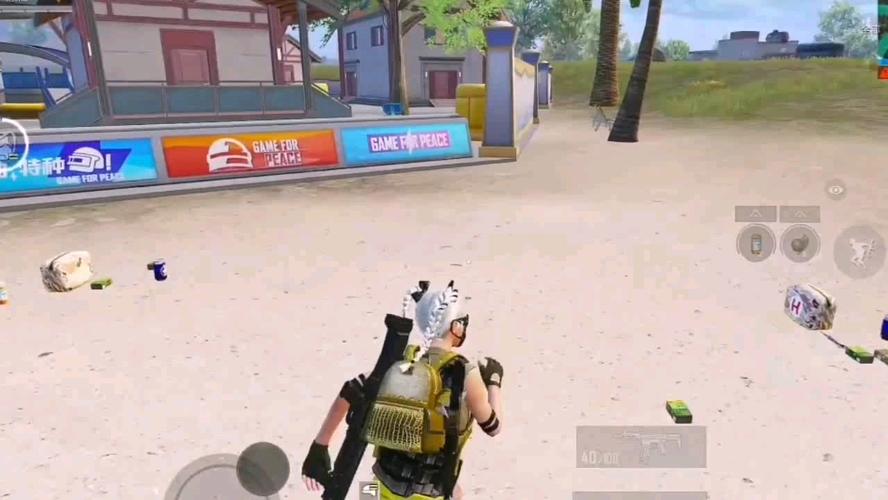 和平精英「战神w」辅助